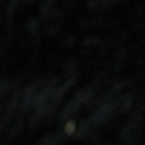 Meet your Posher, Theresa